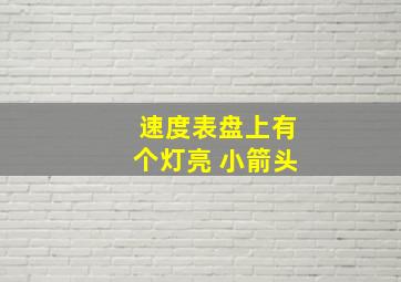 速度表盘上有个灯亮 小箭头